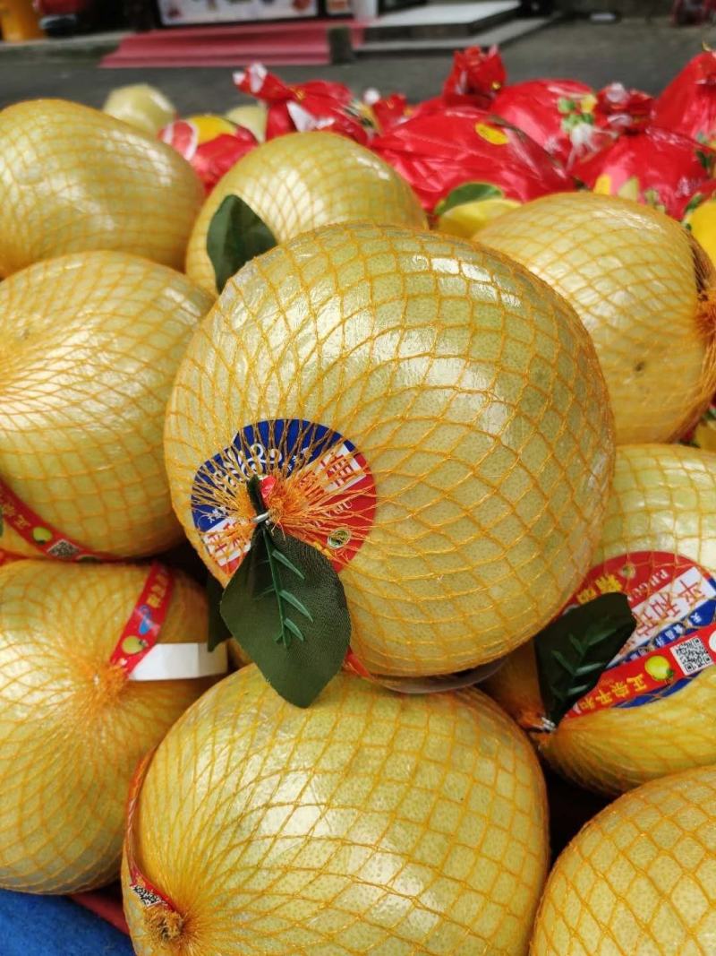 湖北宜昌西陵區白心蜜柚 產地直供，品質優價格美